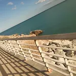 Lejlighed 483 Chemin De Saint-clair Sète
